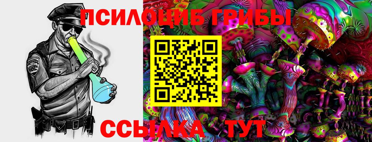 Псилоцибиновые грибы Psilocybe  Вход с VPN  Россошь  Галлюциногенные грибы мицелий 